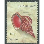 C2692 CONCHAS MARÍTIMAS, DO BLOCO 145 -  2007 - 10.869 M